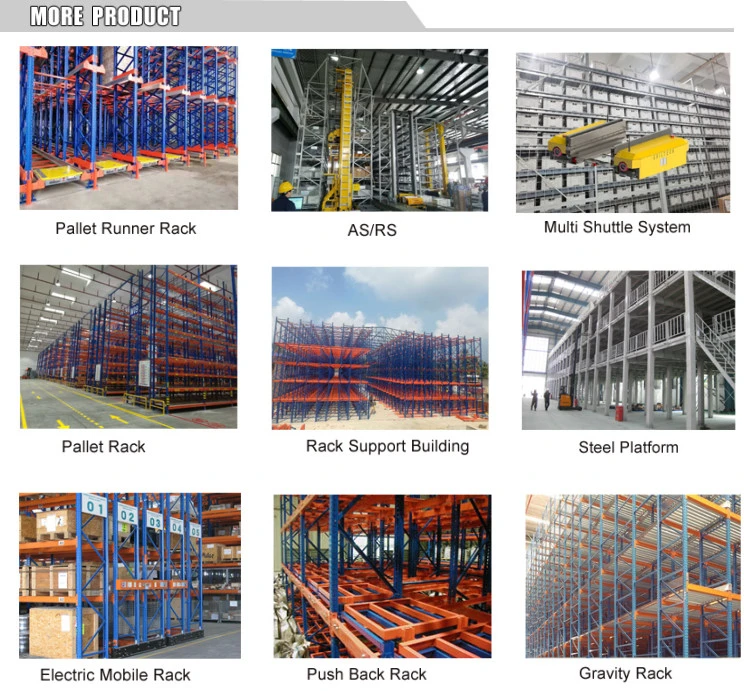 Hot Selling Products Cold Chain Automatic Pallet Runner for Radio Shuttle Racking